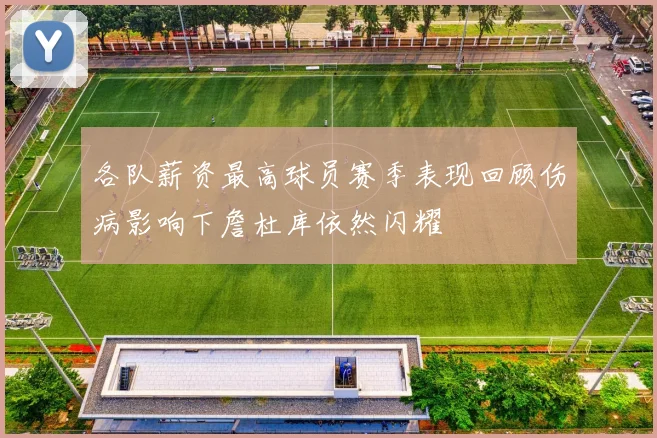 各队薪资最高球员赛季表现回顾伤病影响下詹杜库依然闪耀