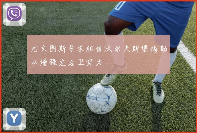 尤文图斯寻求租借沃尔夫斯堡梅勒以增强左后卫实力